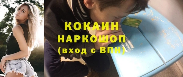 гашик Верея