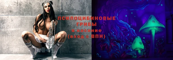 гашик Верея