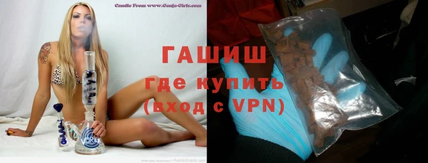 гашик Верея