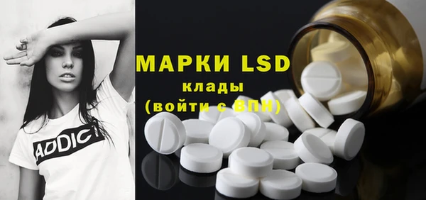 гашик Верея