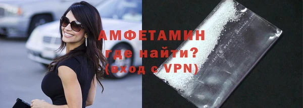 гашик Верея
