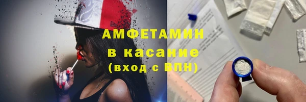 гашик Верея