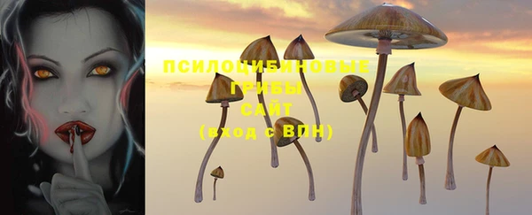 гашик Верея