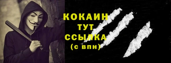 крисы Верхний Тагил