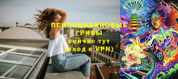 крисы Верхний Тагил