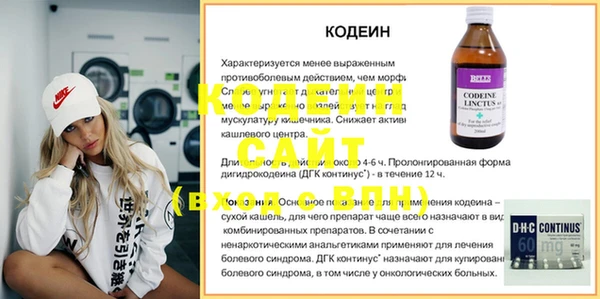 крисы Верхний Тагил