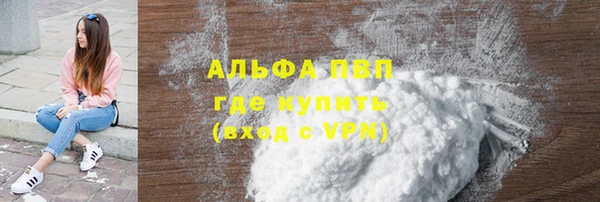 гашик Верея