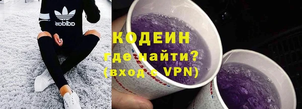 гашик Верея